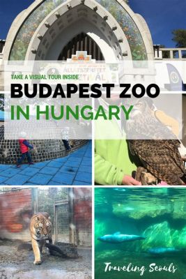  Zoo in Budapest!  A Whimsical Journey Through Pre-War Hungary